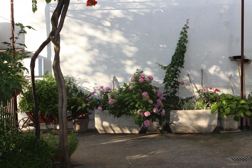 Apartments Becic Budva Ngoại thất bức ảnh