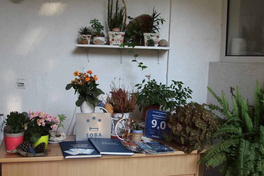 Apartments Becic Budva Ngoại thất bức ảnh
